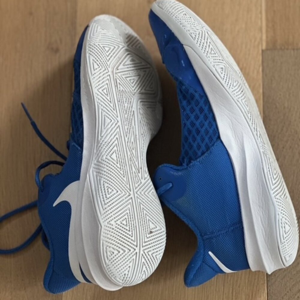 Blue Nike volleyball Court Shoes